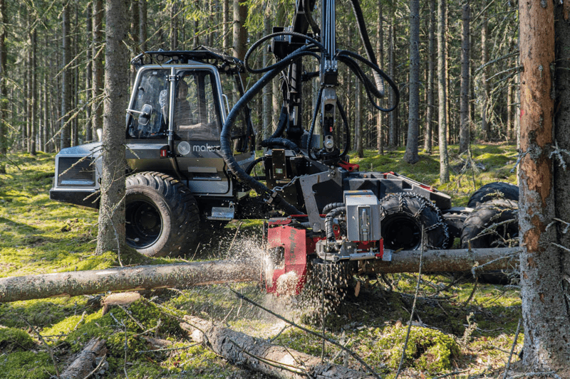 VD till Malwa Forest image