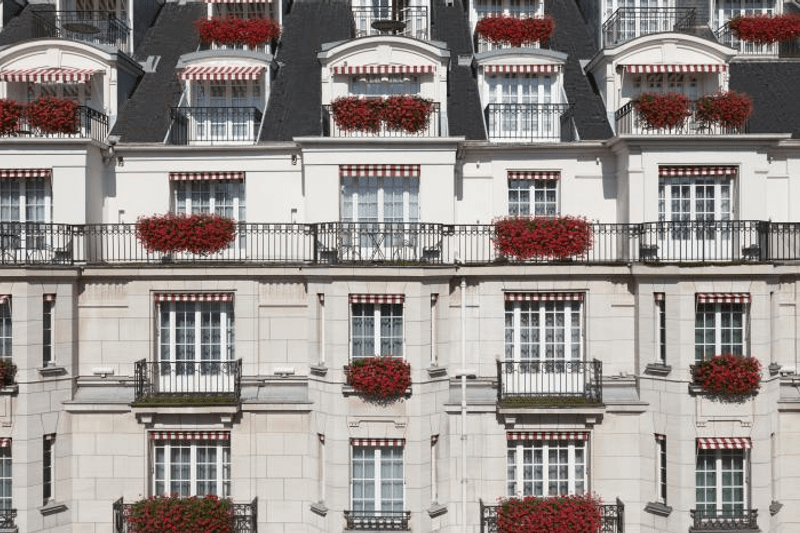 Stage Guest Relation H/F image