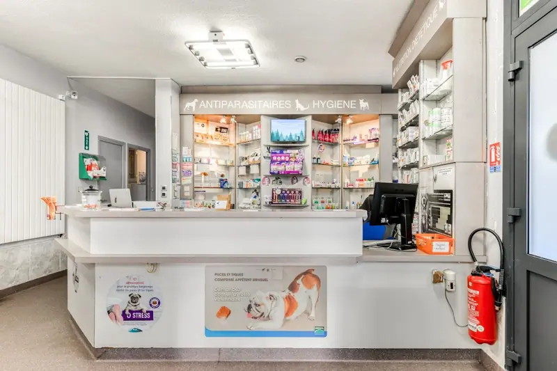 BEZIERS - VET DOMITIA - AUXILIAIRE SPECIALISE VETERINAIRE EN CDD (H/F) image