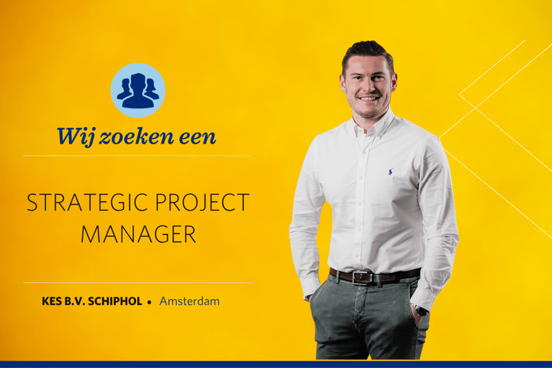 Strategic Project Manager image