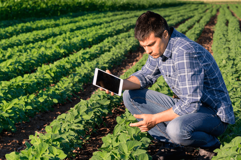 Técnico agrícola image