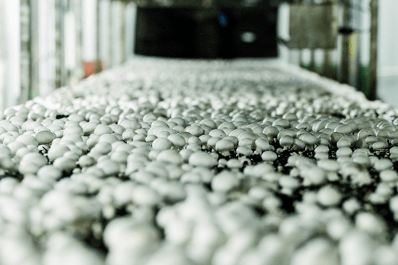 Økonomimedarbejder til Tvedemose Økologi image