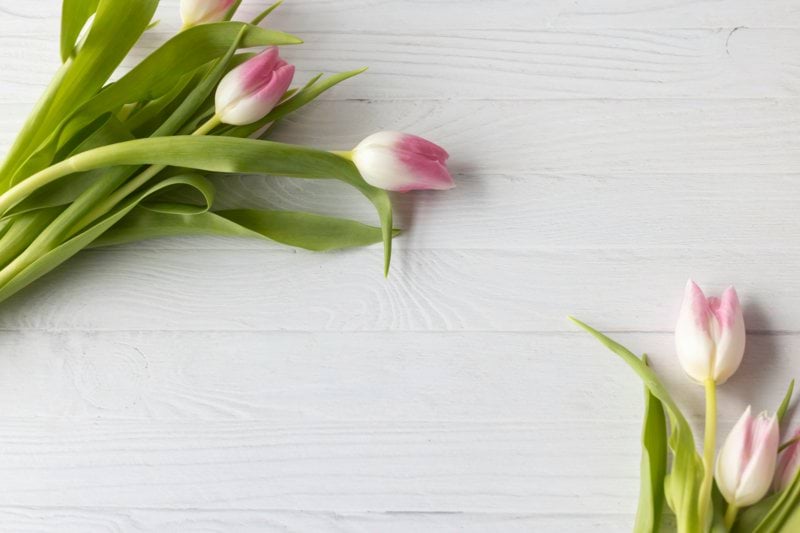 Visual merchandiser - Blomsterlandet, Västerås image