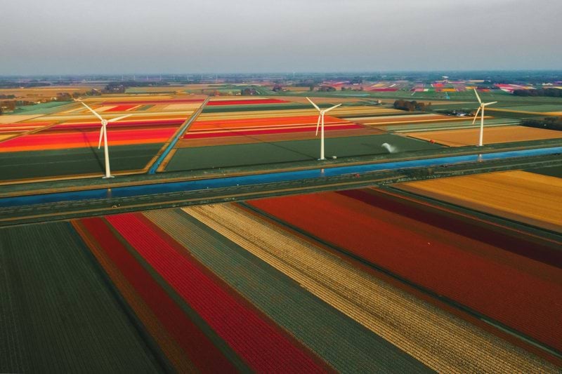 Operational Manager - Polska & Holandia image