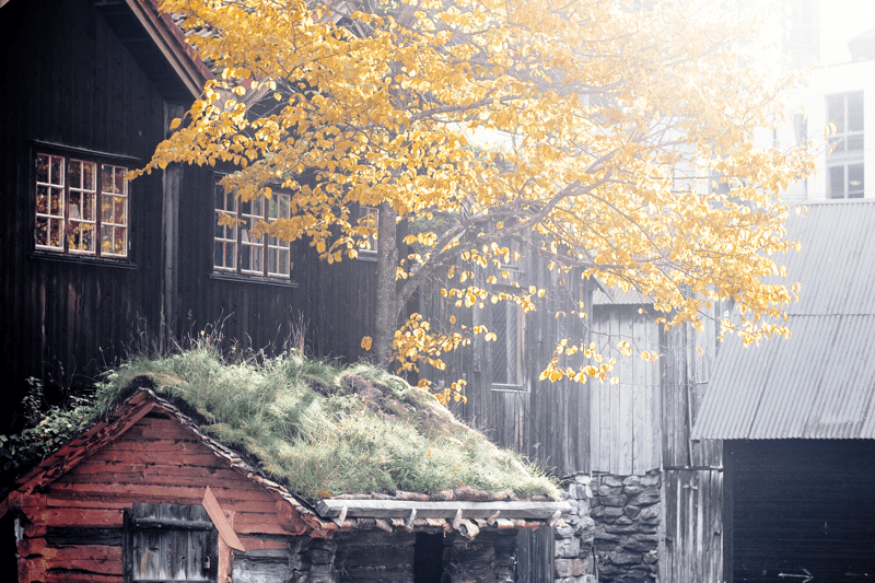 Restaureringshandverkar – kulturvernforvaltar image