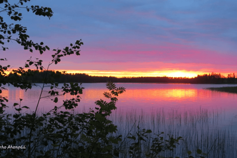 Terveyskeskuslääkäri Laukaa image