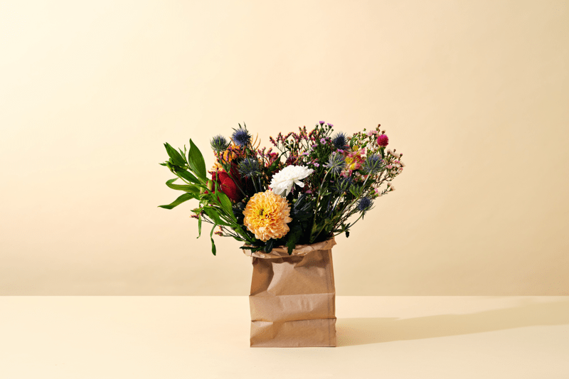 Sales and Service Ambassador til BYREDO image