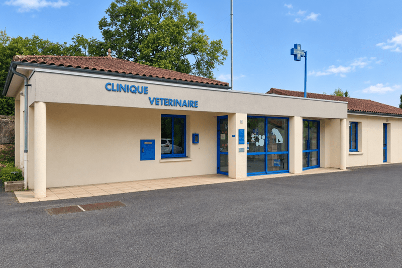 Vienne - Verrières - Vétérinaire mixte Canin/Bovin - CDI (H/F) image