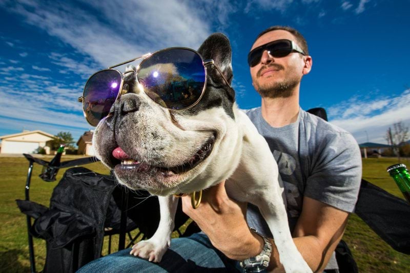 Sales Recovery Specialist - Pet Health - Remote image