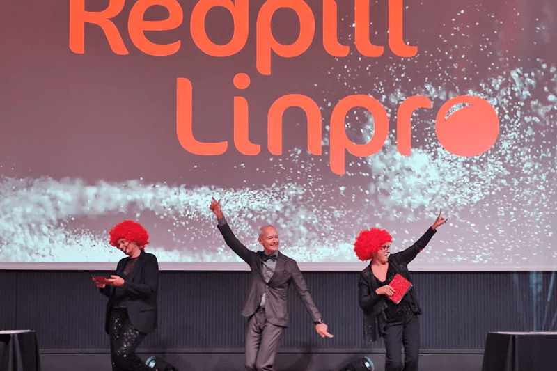 IT Business Management Consultant image