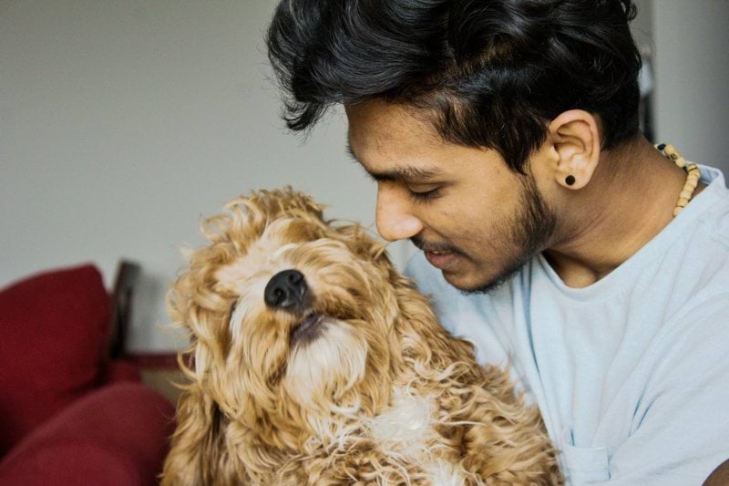 Customer Sales Specialist - Pet Health - Remote image