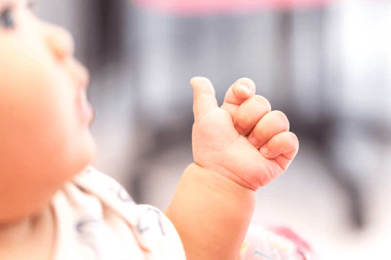 AUXILIAIRE DE PUERICULTURE (AP) en crèche -H/F- La Maison Kangourou image