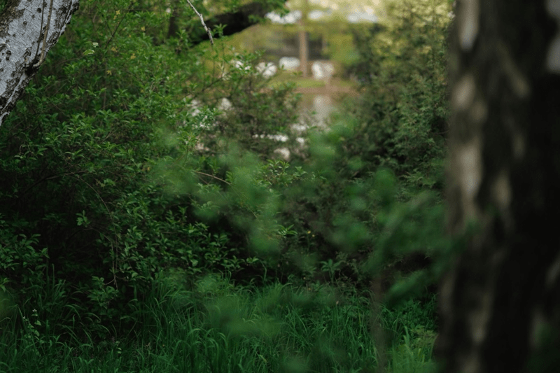 DevOps-tekniker image