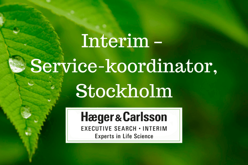 Interim – Service-koordinator image