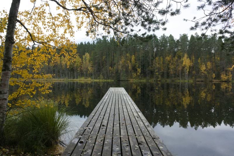 Lääkäri - Vekaranjärvi image