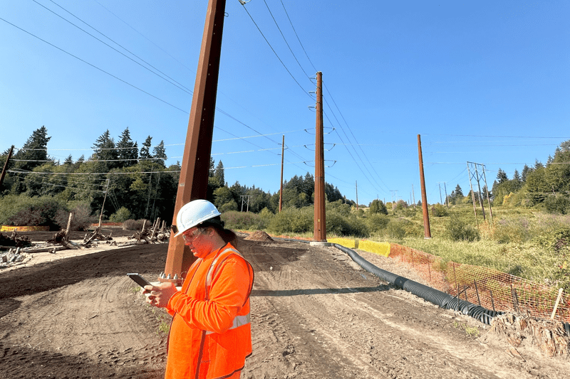 Project Manager image