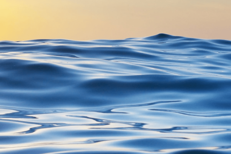 Service Coordinator - NjordX image