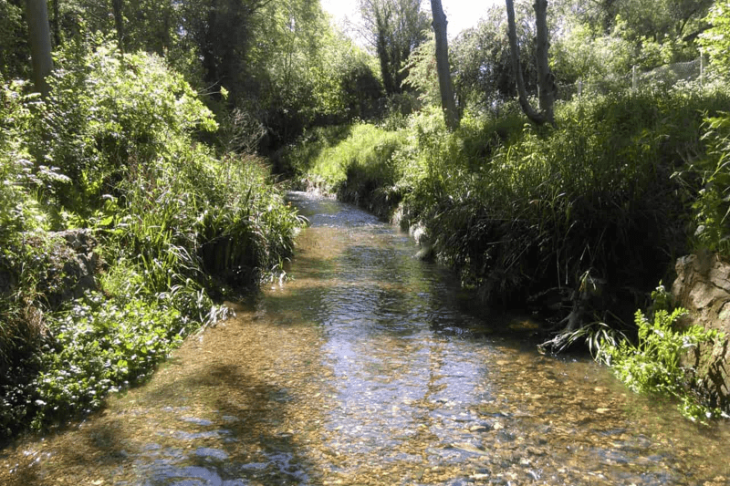 Specialist Lead Natural Flood Management (NFM) image