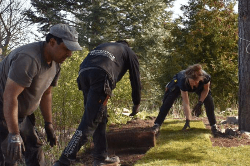 Nu söker vi fler trädgårdsarbetare inför hösten till norra Stockholm! image