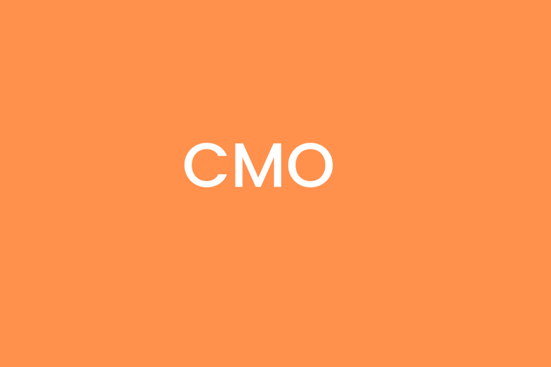Chief Marketing Officer - A Leading Global Technology firm image