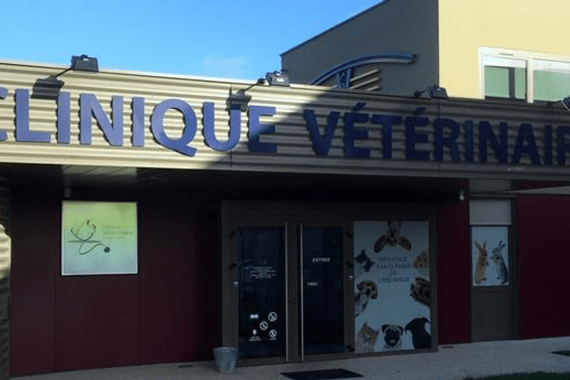 TROYES - CLINIQUE VETERINAIRE CHAPELAINE - ASV CDI (H/F) image