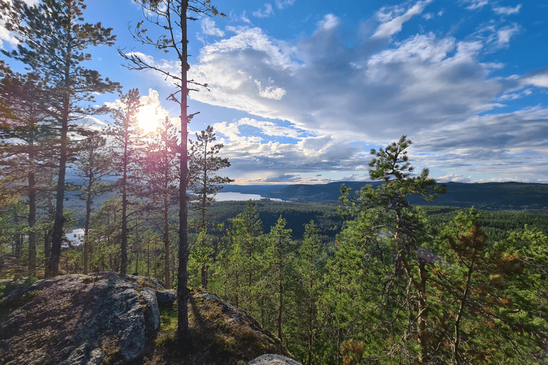 Ingenjörer till Hälsingland image