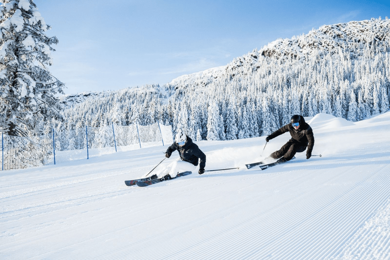 Regnskapssjef i Alpinco image