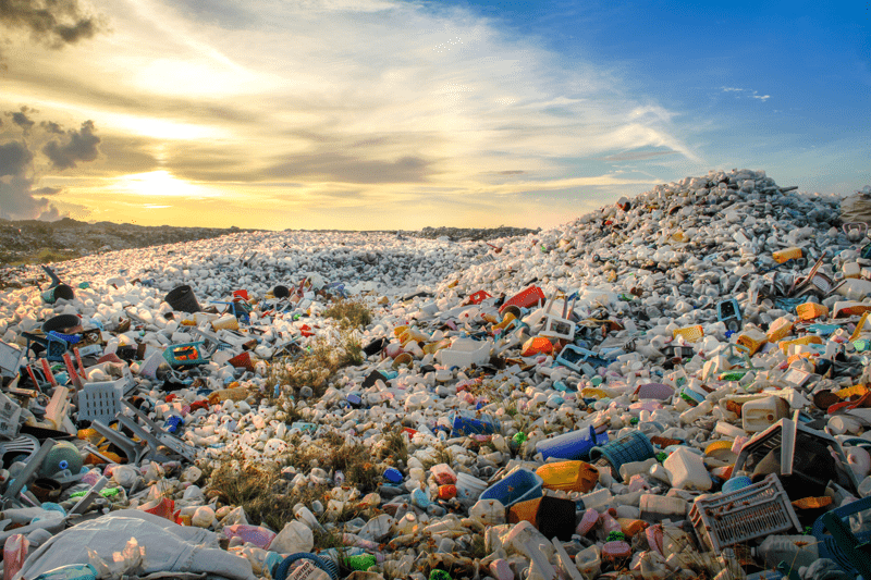 Are you the next Regional Plastics Policy Coordinator for Africa? image