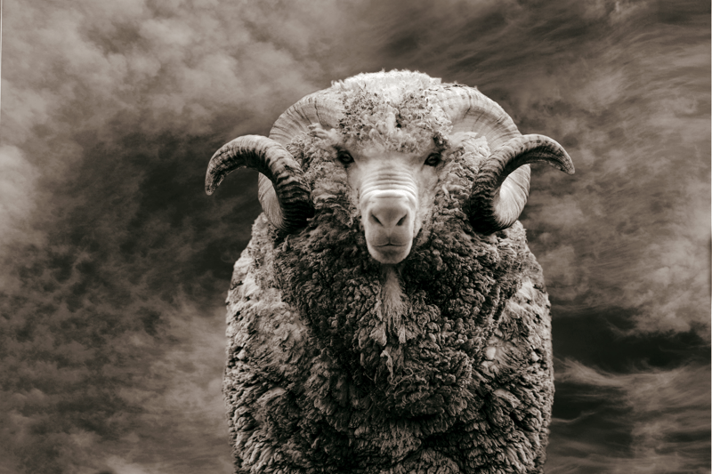 Drivs du av att utveckla människor? Woolpower söker en produktionsledare image