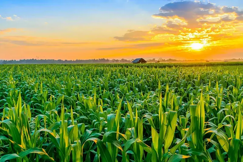 RESPONSABLE DE CONTABILIDAD (CON FRANCÉS) image