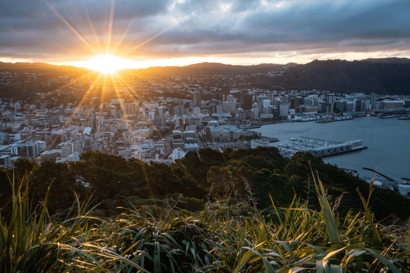 Office Manager – Pōneke (Wellington) | Fixed-Term Full-Time (6 Months) image