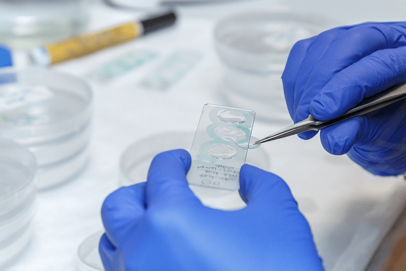 Tècnic/a Superior Especialista Laboratori – Microbiologia (suplències) image