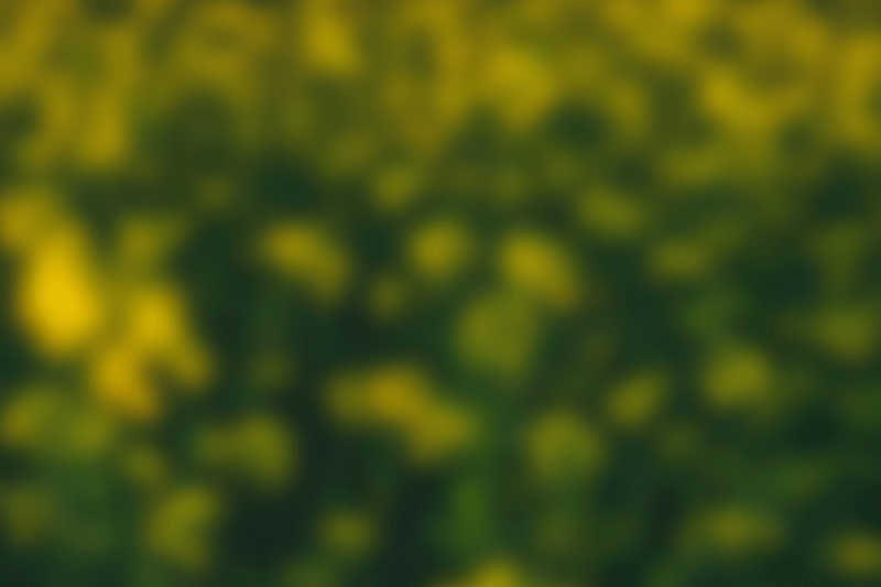 Business Controller image