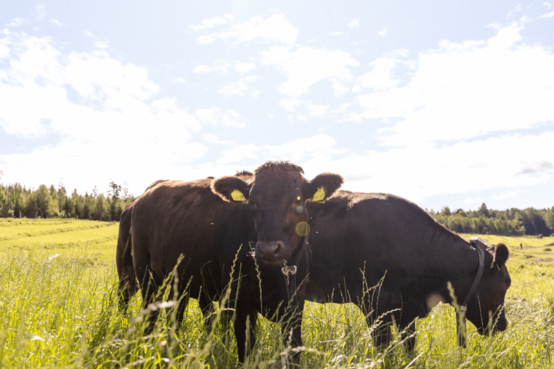 Farmer Success Manager – Midwest Region image