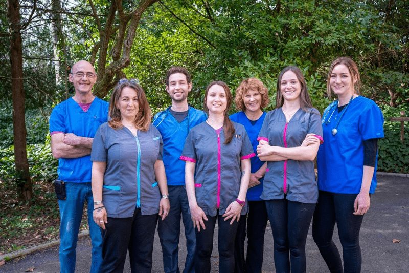 LIVRON - VETERINAIRE CANIN EN CDI (H/F) image