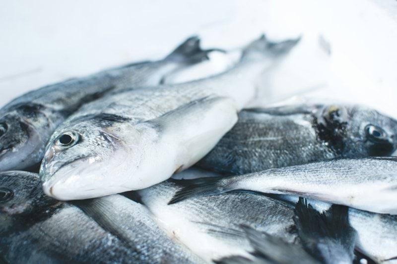 Docente Recepción y almacenamiento de pescados y mariscos (INAJ02) image