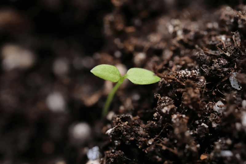 Talent Acquisition Specialist image