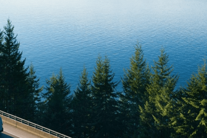 Sales Director til Assa Abloy image