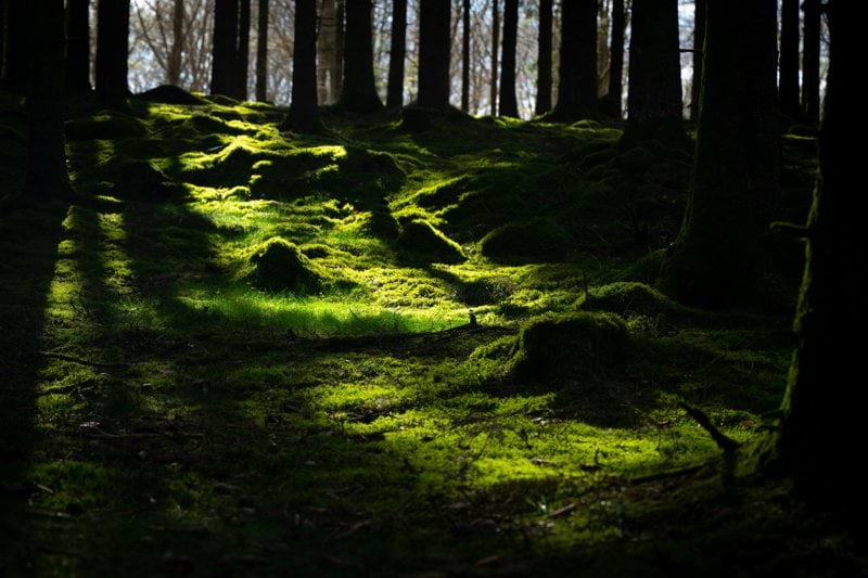 Projektingenjör inom energi och process image