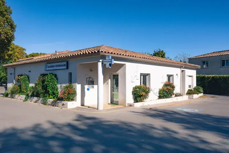 Montpellier – Fescau – Auxiliaire Spécialisé Vétérinaire polyvalent CDI (H/F) image