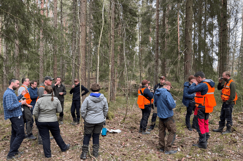 Junior skogsvärderare till Umeå image