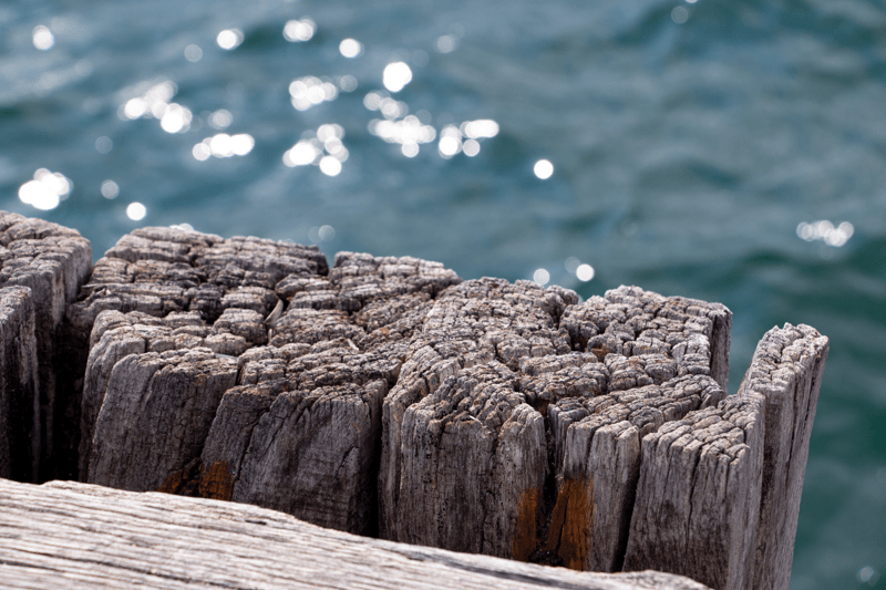 Marine Construction Labourers image