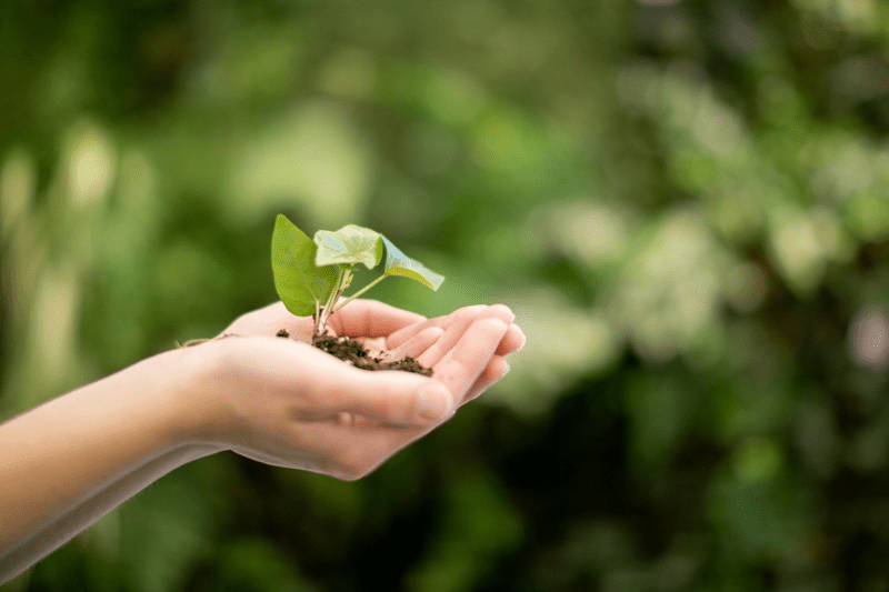 Administrativo/a Sostenibilidad y H&S image