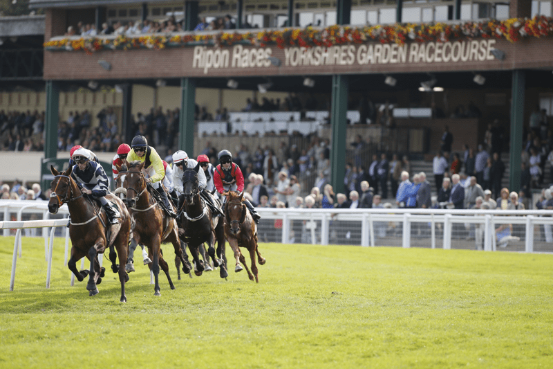 Register your interest to work at Ripon Racecourse! image