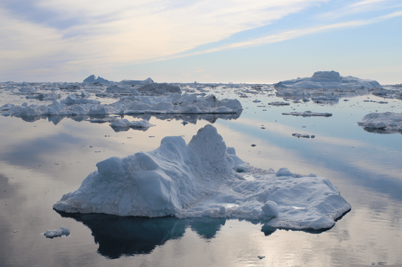 Deputy Director image