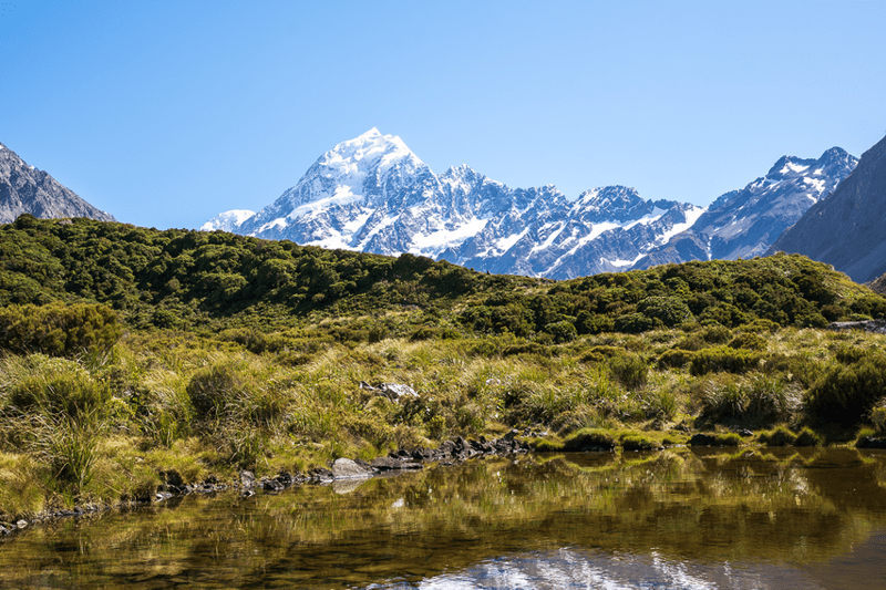 Regulatory and Compliance Officer image