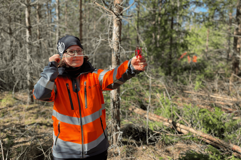 Mhy Lounametsä: Toimihenkilöharjoittelu 2026 image