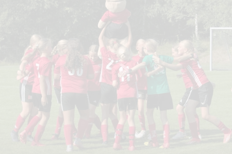 Kansliansvarig till IF Team Hudik image