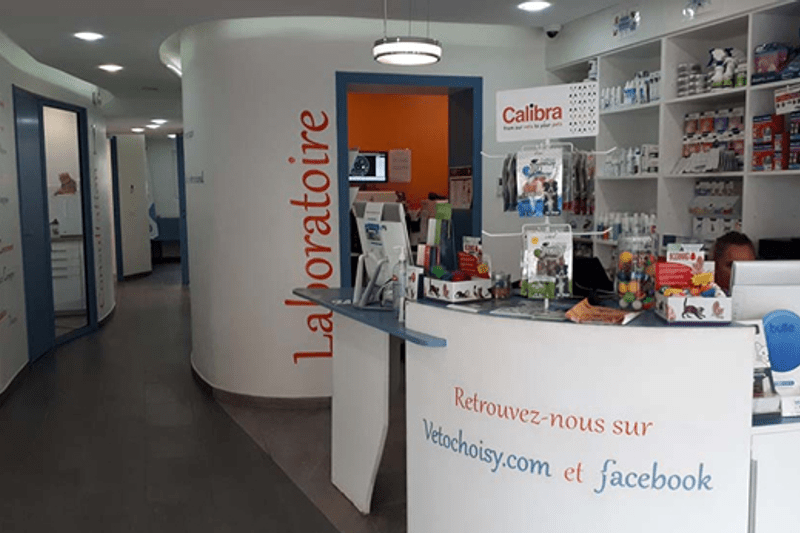 CHOISY LE ROI - ROUGET DE L'ISLE - ASV EN CDI (H/F) image