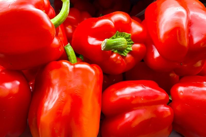 Jamboree26 - Ansvarig Livsmedelskontroll image